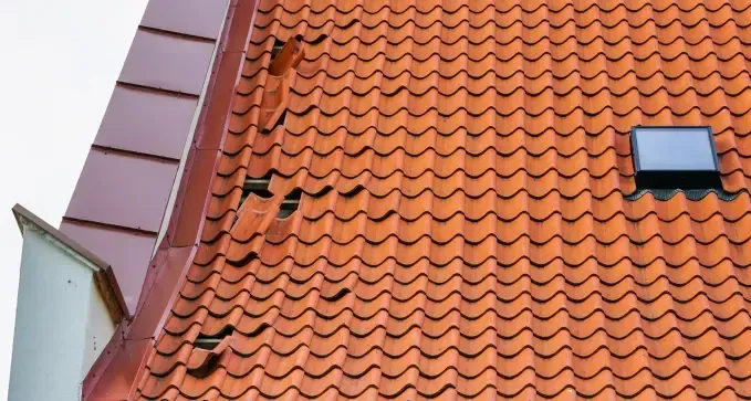 realizarunretejadoparcialaprecioeconomicoenulzama 1920w