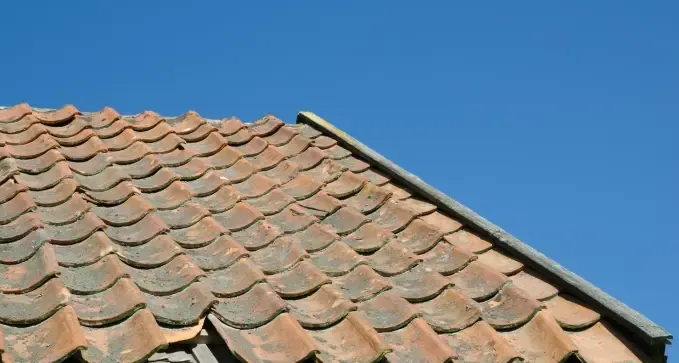 repararuntejadodeterioradoabuenprecioenarmananzas 1920w